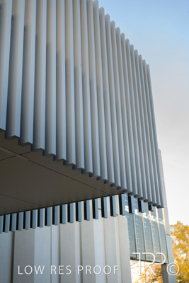 July 2022 / KILDARE_COLLEGE_220715_038