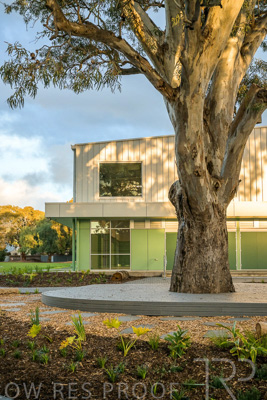 August 2022 / Mitcham-Primary-Exteriors_220825_050