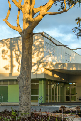 August 2022 / Mitcham-Primary-Exteriors_220825_053