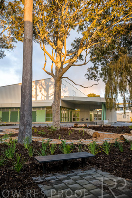 August 2022 / Mitcham-Primary-Exteriors_220825_059