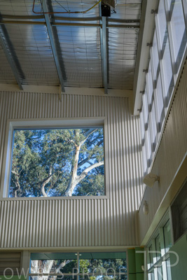 August 2022 / Mitcham-Primary-Interiors_220826_035