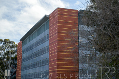 September 2022 / Lyel-McEwan-Carprak-220903-7196-HDR