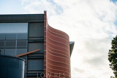 September 2022 / Lyel-McEwan-Carprak-220903-7216-HDR