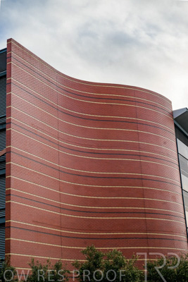 September 2022 / Lyel-McEwan-Carprak-220903-7292-HDR