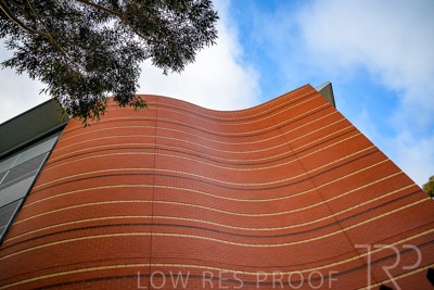 September 2022 / Lyel-McEwan-Carprak-220903-7362