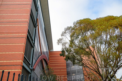 September 2022 / Lyel-McEwan-Carprak-220903-7382