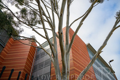 September 2022 / Lyel-McEwan-Carprak-220903-7387