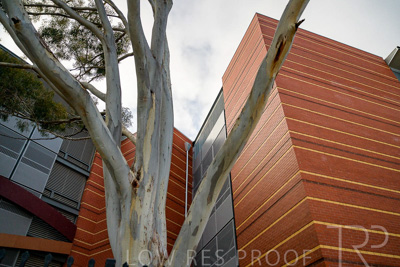 September 2022 / Lyel-McEwan-Carprak-220903-7392