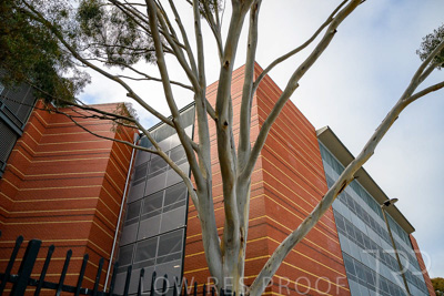 September 2022 / Lyel-McEwan-Carprak-220903-7397