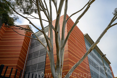 September 2022 / Lyel-McEwan-Carprak-220903-7402