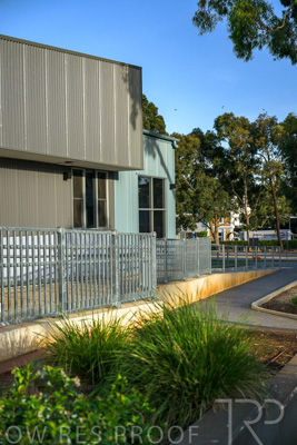 November 2023 / MAGILL-PRIMARY-231115-_Z9E1485