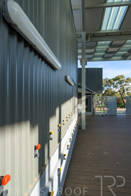 November 2023 / MAGILL-PRIMARY-231115-_Z9E1617