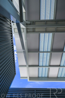 November 2023 / MAGILL-PRIMARY-231115-_Z9E1644