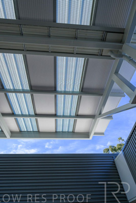 November 2023 / MAGILL-PRIMARY-231115-_Z9E1653