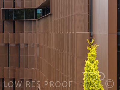 February 2023 / DJI_0531-HDR