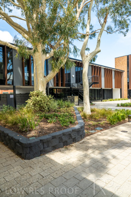 February 2023 / WESTMINSTER_230204__Z9C0171-HDR