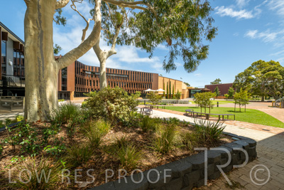 February 2023 / WESTMINSTER_230204__Z9C0183-HDR