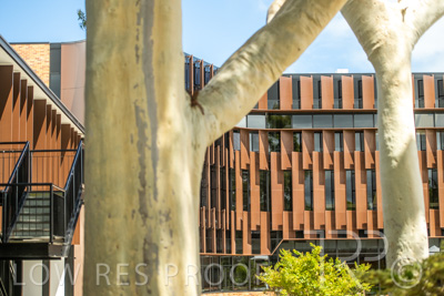February 2023 / WESTMINSTER_230204__Z9C0237-HDR
