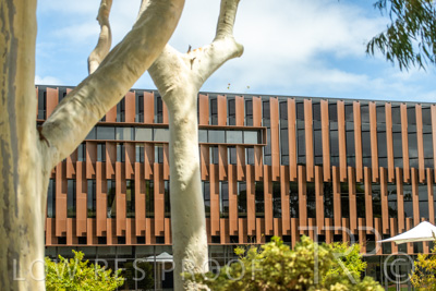 February 2023 / WESTMINSTER_230204__Z9C0240-HDR