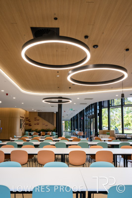 February 2023 / WESTMINSTER_230227_038__Z9C4552