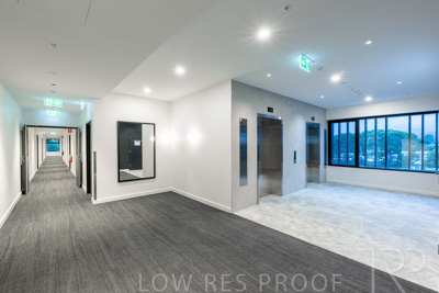 June 2023 / MONARCH_230626_015