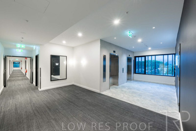 June 2023 / MONARCH_230626_016