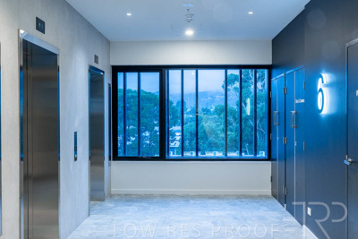 June 2023 / MONARCH_230626_018