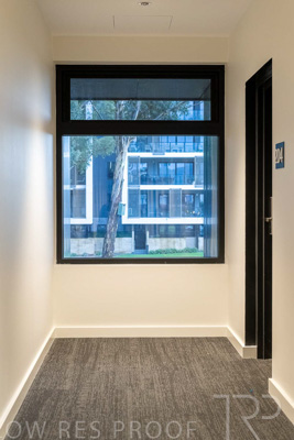 June 2023 / MONARCH_230626_042