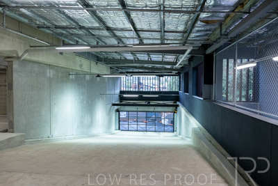 June 2023 / MONARCH_230626_053