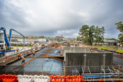 June 2023 / MONARCH_230626_061