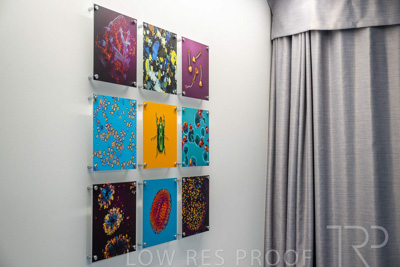 July 2023 / UoA-MLS_230706_014