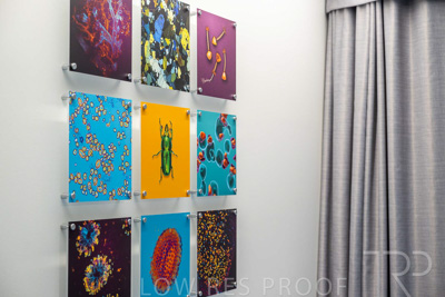 July 2023 / UoA-MLS_230706_015