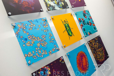 July 2023 / UoA-MLS_230706_016