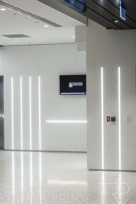 July 2023 / UoA-MLS_230706_254