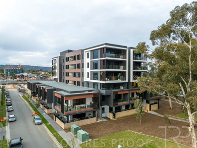August 2023 / MONARCH-230829-DJI_0490