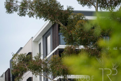 August 2023 / MONARCH-230829-_Z9C7087