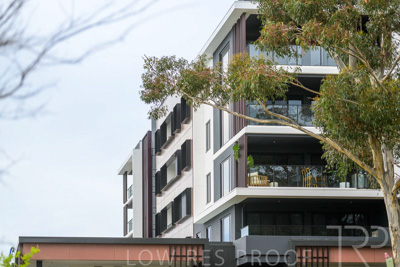 August 2023 / MONARCH-230829-_Z9C7096