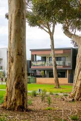 August 2023 / MONARCH-230829-_Z9C7114