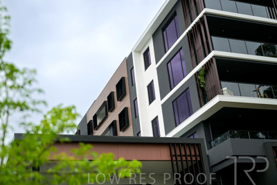 August 2023 / MONARCH-230829-_Z9C7180