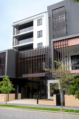 August 2023 / MONARCH-230829-_Z9C7210