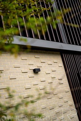 August 2023 / MONARCH-230829-_Z9C7249