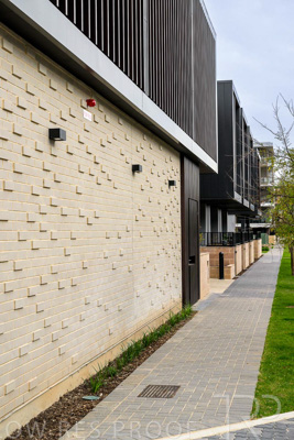 August 2023 / MONARCH-230829-_Z9C7267