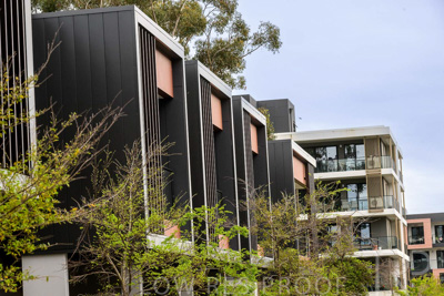 August 2023 / MONARCH-230829-_Z9C7285