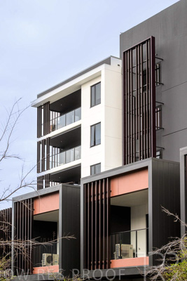 August 2023 / MONARCH-230829-_Z9C7312