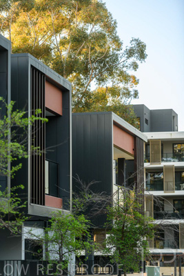 September 2023 / MONARCH-230901-_85E8544