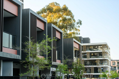 September 2023 / MONARCH-230901-_85E8550