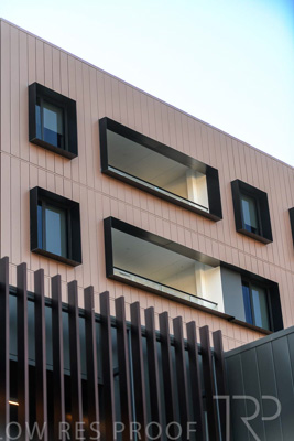 September 2023 / MONARCH-230901-_85E8562