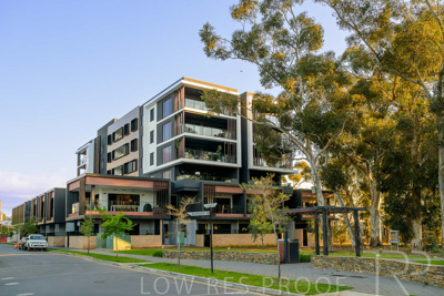 September 2023 / MONARCH-230901-_Z9C8350