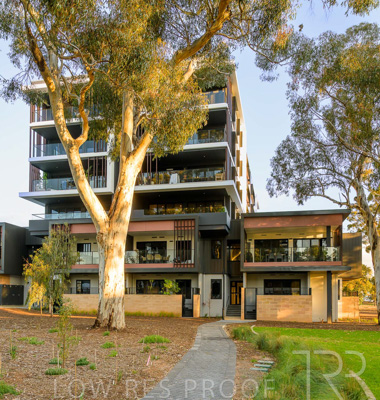 September 2023 / MONARCH-230901-_Z9C8356