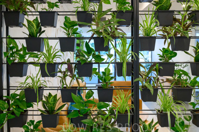 September 2023 / SARAH-GROUP-OFFICE-230912_Z9C1463